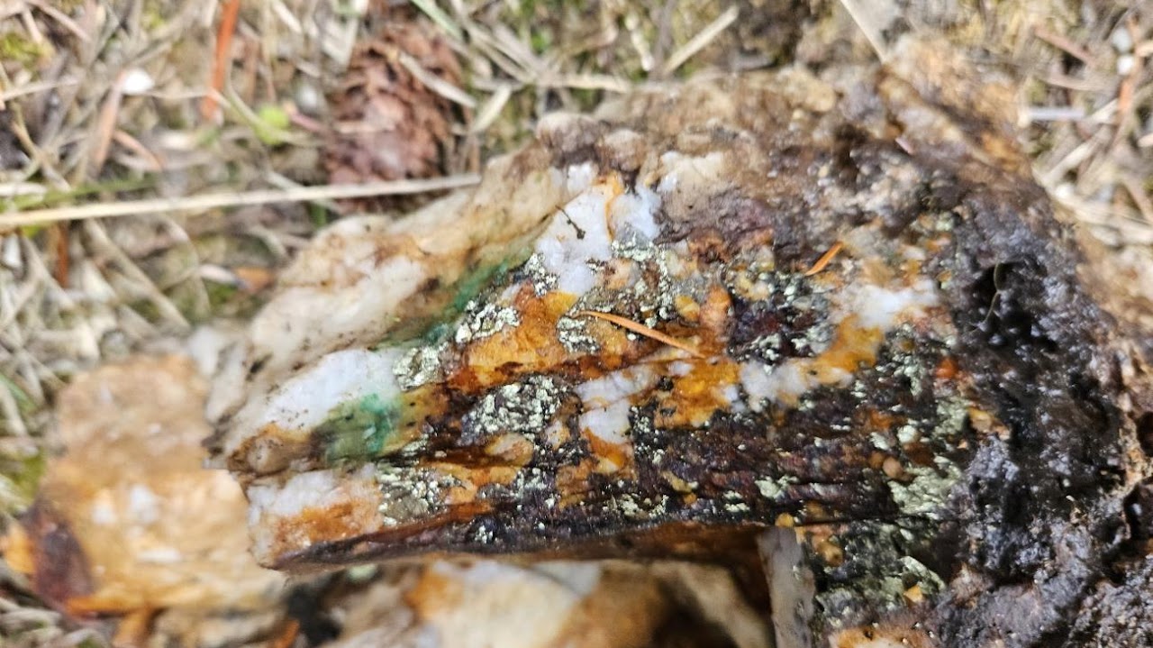 Allies Gold-Copper Project field photo