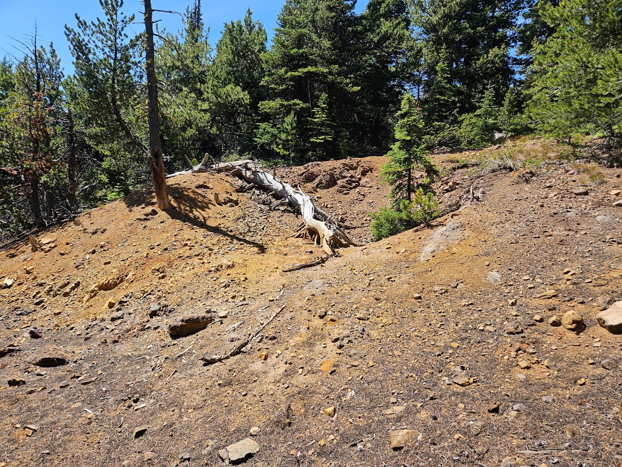 Dividend Copper-Gold-Tungsten Project field photo